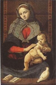 Piero di Cosimo The Virgin and Child with a Dove (mk05)